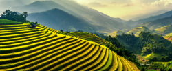 Sapa_Rice_Terraces